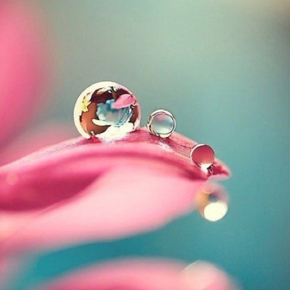 Meet your Posher, Chaya